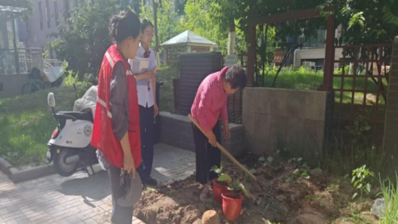 银川市兴庆区泰和社区：依法整治毁绿 携手共建家园