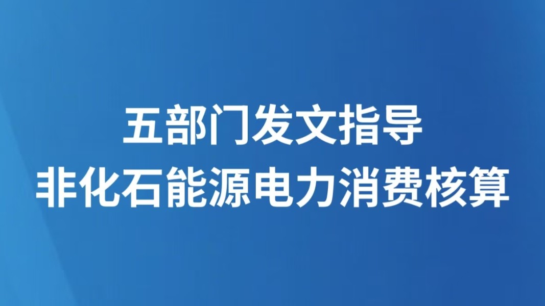 五部门发文指导非化石能源电力消费核算