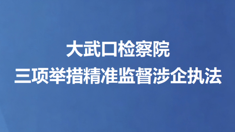 大武口检察院三项举措精准监督涉企执法