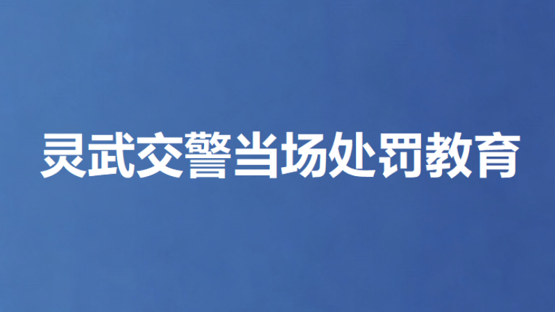 灵武交警当场处罚教育