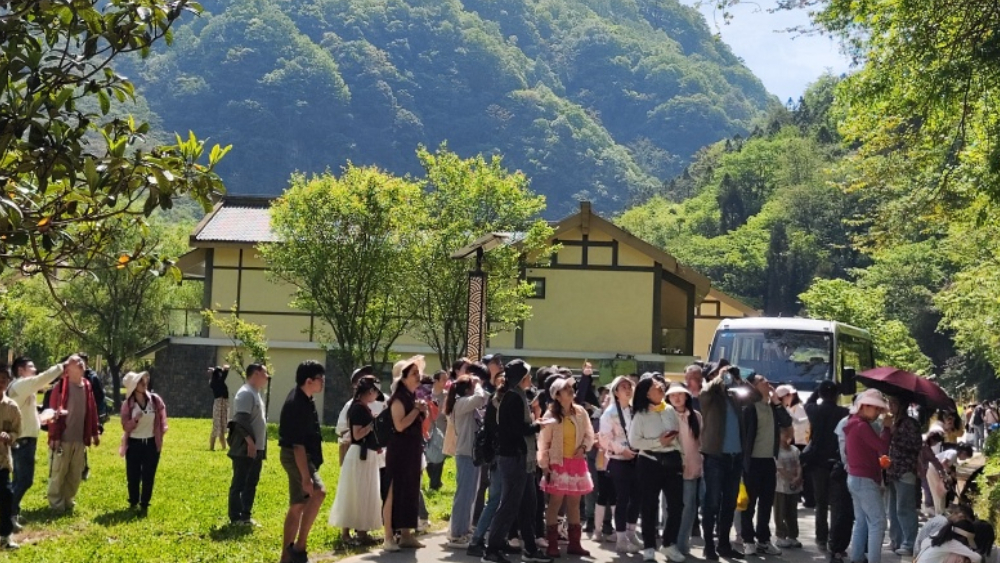 23℃清凉引客来 坝坝烟火兴全域——四川青川县借力避暑旺季激活文旅融合新动能