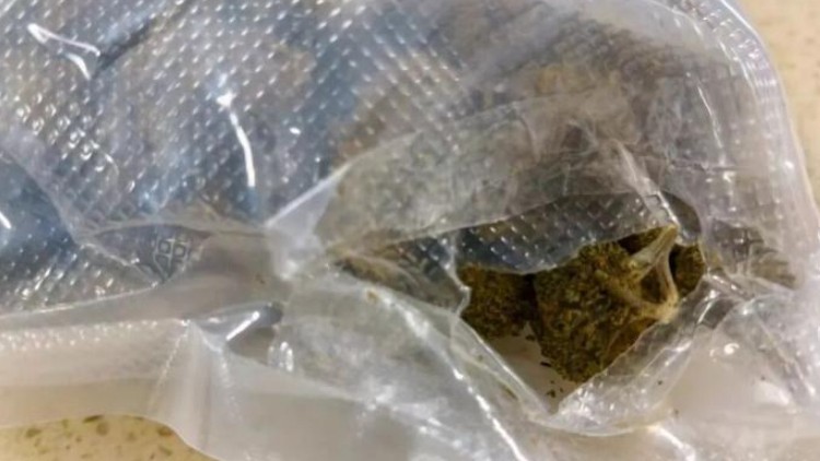 深圳邮局海关查获毛重973.6克大麻 藏匿于毛毯内