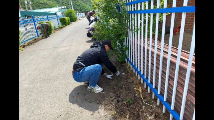 吉林省汪清县法院：助力乡村添新绿 干警下乡栽花扮靓帮扶村