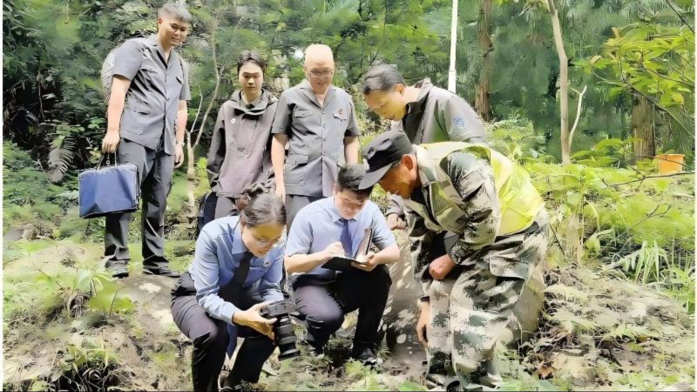 筑牢云开山生态司法屏障