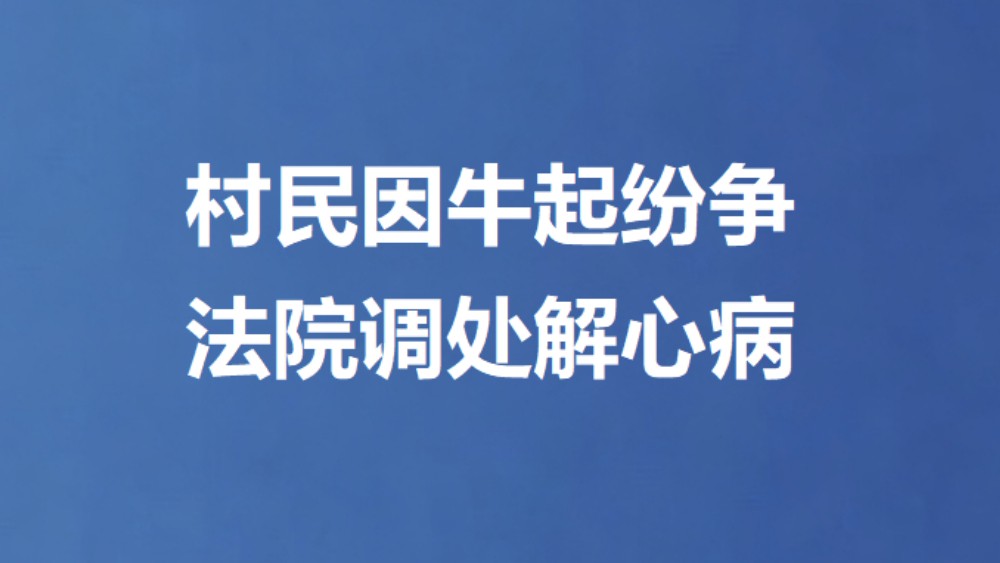 村民因牛起纷争 法院调处解心病