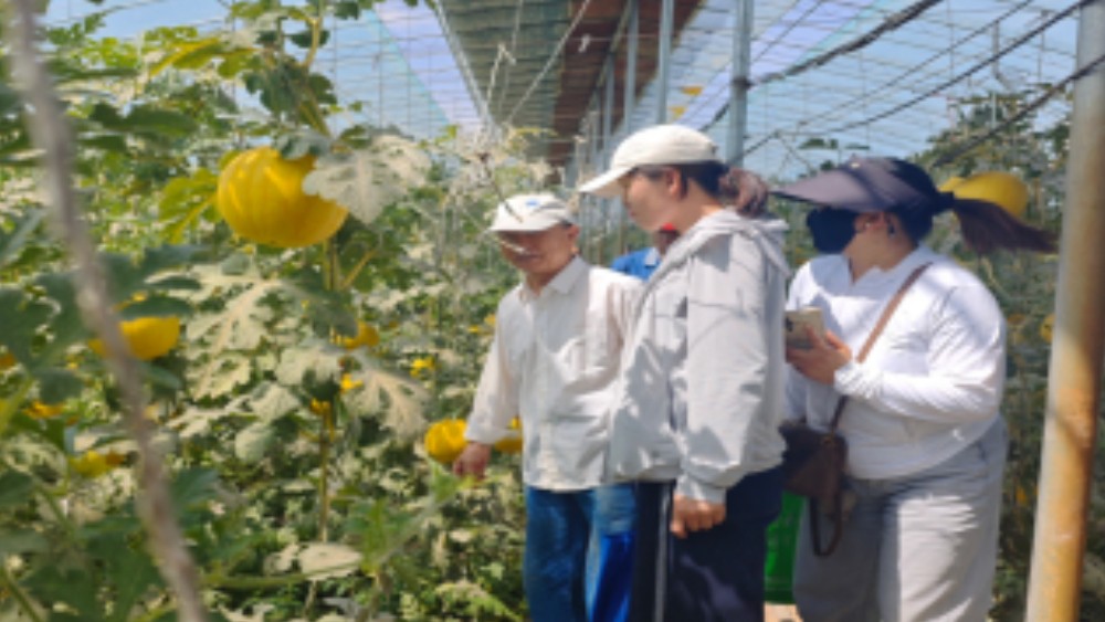 银川市兴庆区幸福社区：采摘休闲暖夕阳，普法护航伴晚年