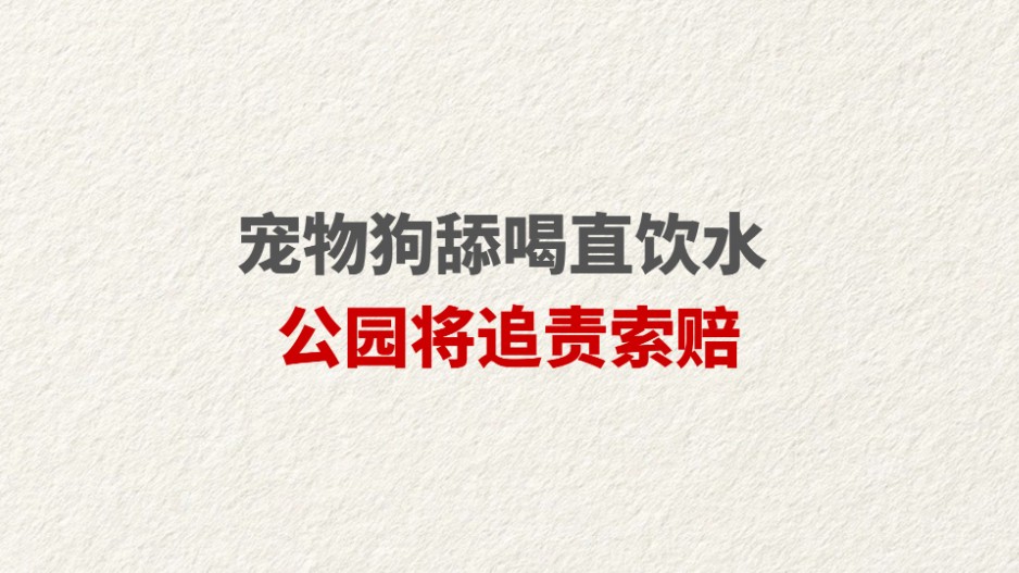 宠物狗舔喝直饮水 公园将追责索赔