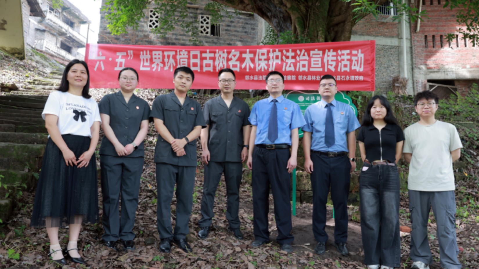四川邻水法院：世界环境日｜守护古树，守住“岁月长青”