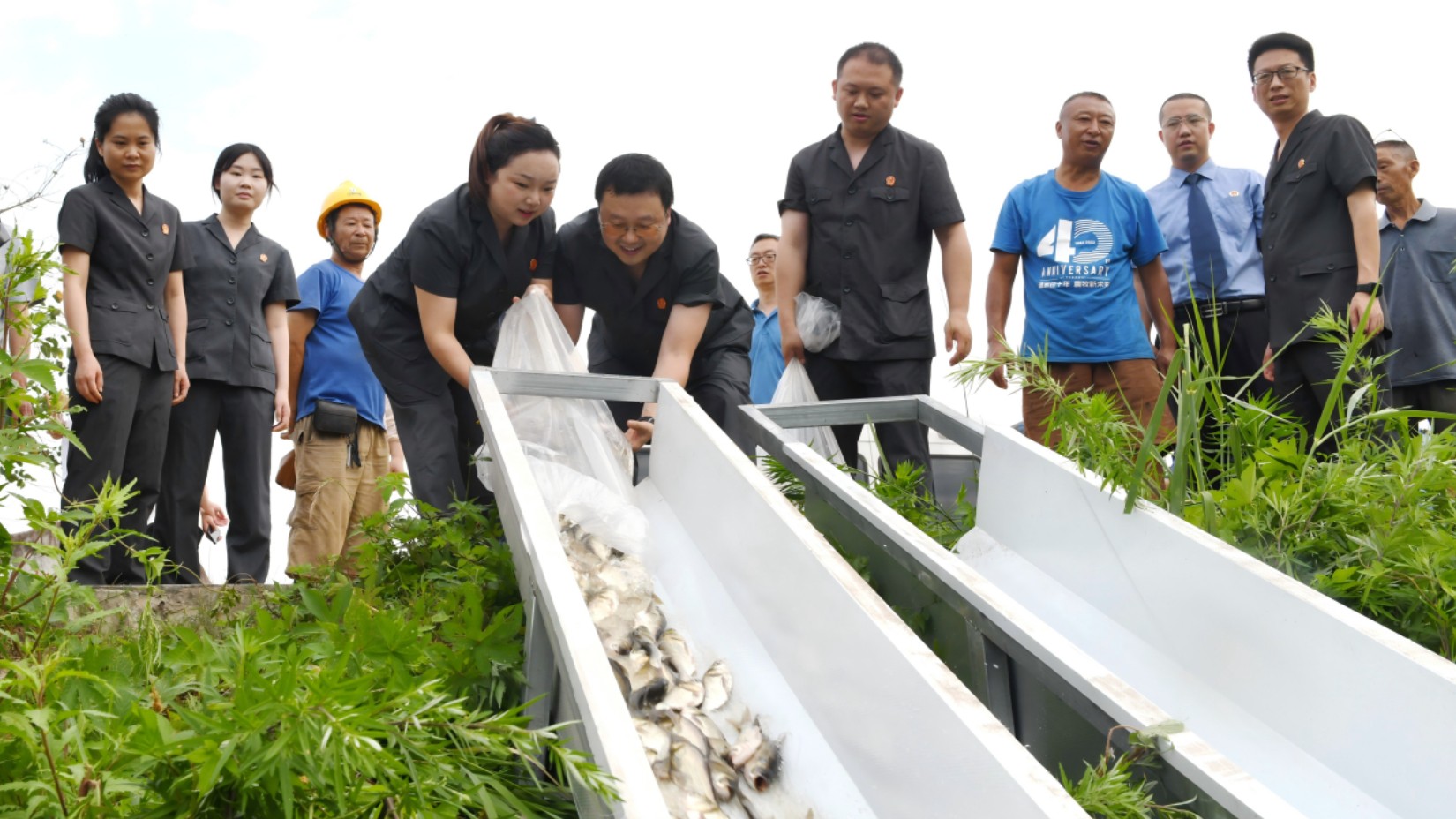 南充蓬安县人民法院：一场湖畔庭审背后的生态司法路