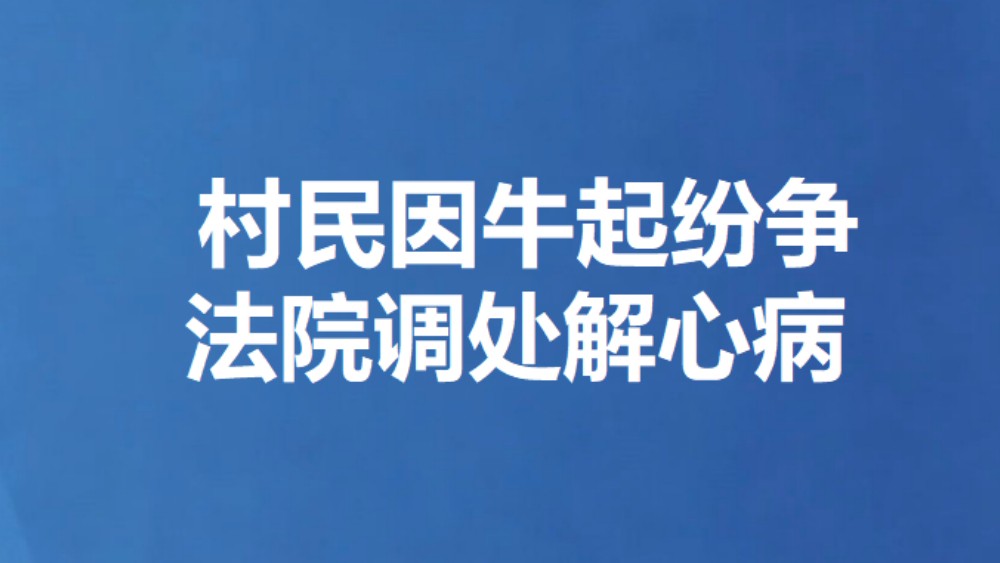 村民因牛起纷争 法院调处解心病