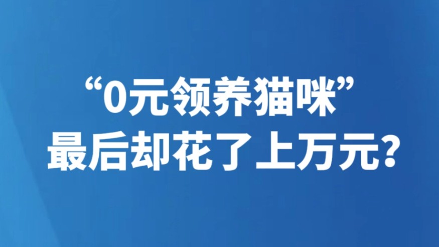 “0元领养猫咪”最后却花了上万元？