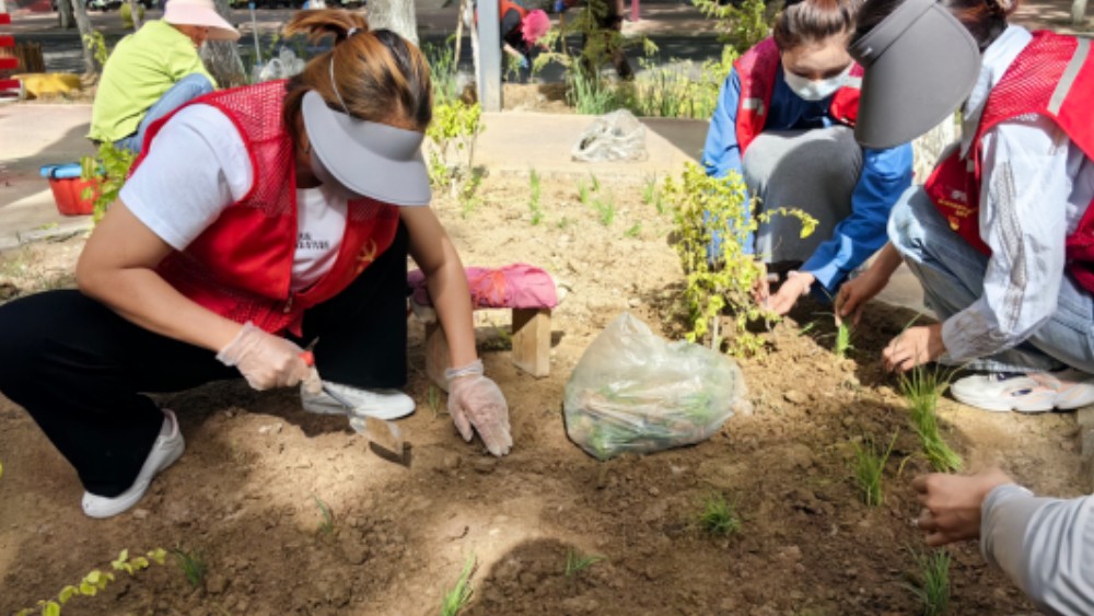 银川市兴庆区雅苑社区：打破壁垒修旧巷 协同共治聚同心