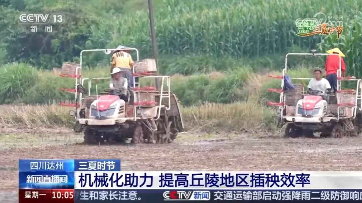 7天插完520亩！达川机械化插秧登上央视《新闻直播间》