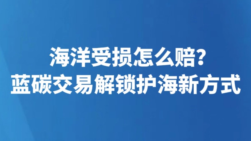 海洋受损怎么赔？蓝碳交易解锁护海新方式
