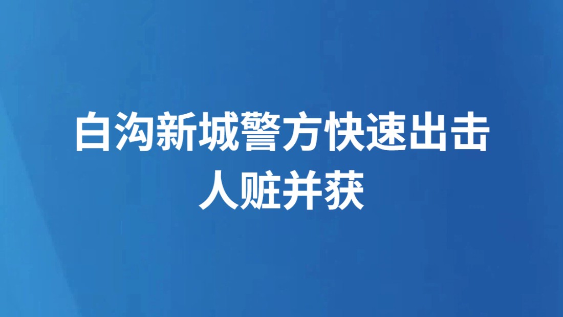 白沟新城警方快速出击人赃并获