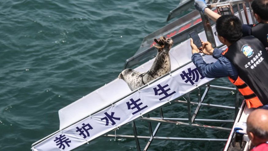 共守一片蓝