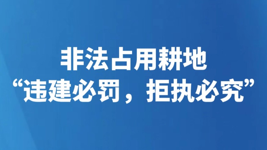 非法占用耕地“违建必罚，拒执必究”
