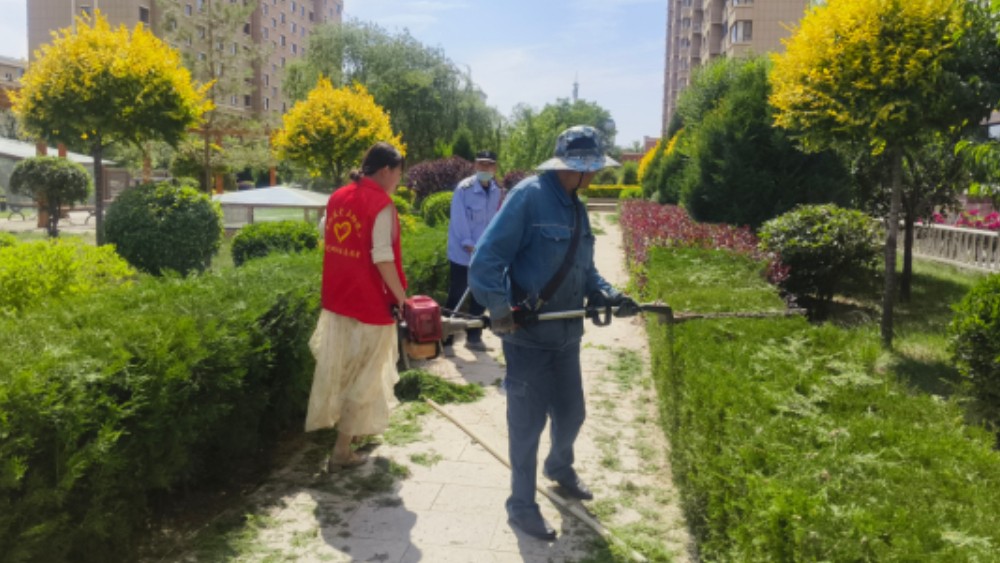 吴忠市利通区乃光湖社区：依法降噪护考 普法静音筑梦
