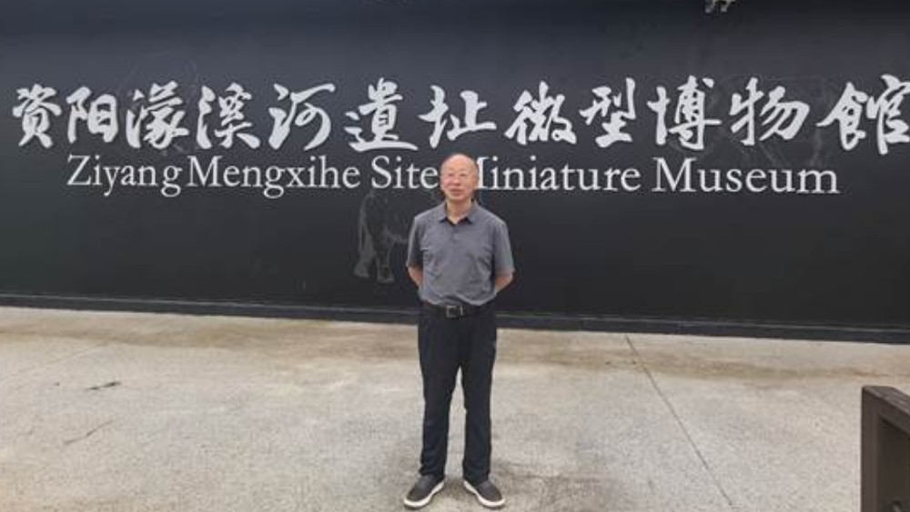 从八万年前濛溪河遗址的“烧象骨”说起——所谓"巴蛇食象"，其实是巴人“烤象肉”