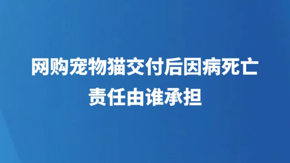 网购宠物猫交付后因病死亡，责任由谁承担