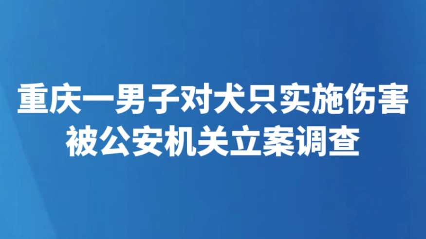 重庆一男子对犬只实施伤害被公安机关立案调查