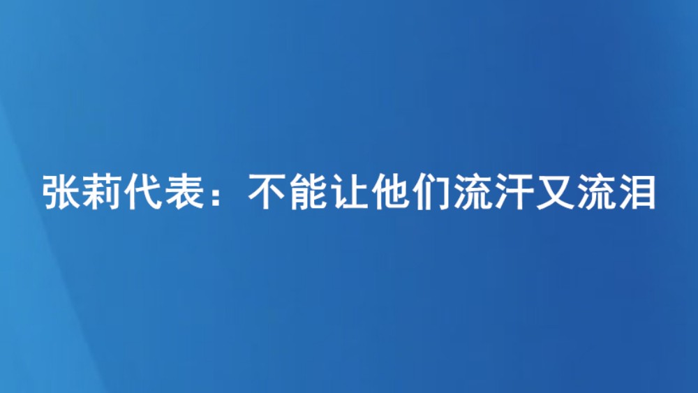 张莉代表：不能让他们流汗又流泪