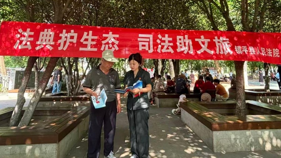 河南省南阳市镇平县法院开展世界环境日普法宣传活动