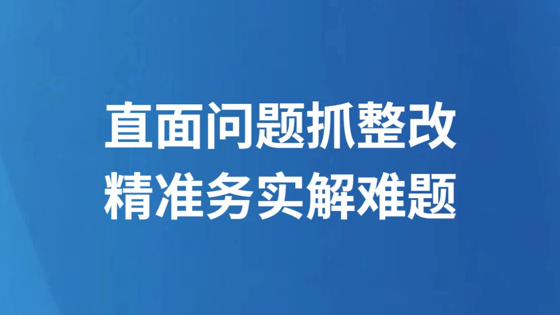 直面问题抓整改 精准务实解难题
