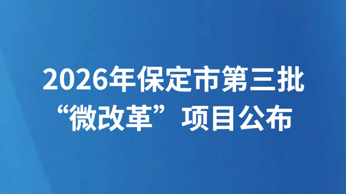 2026年保定市第三批“微改革”项目公布