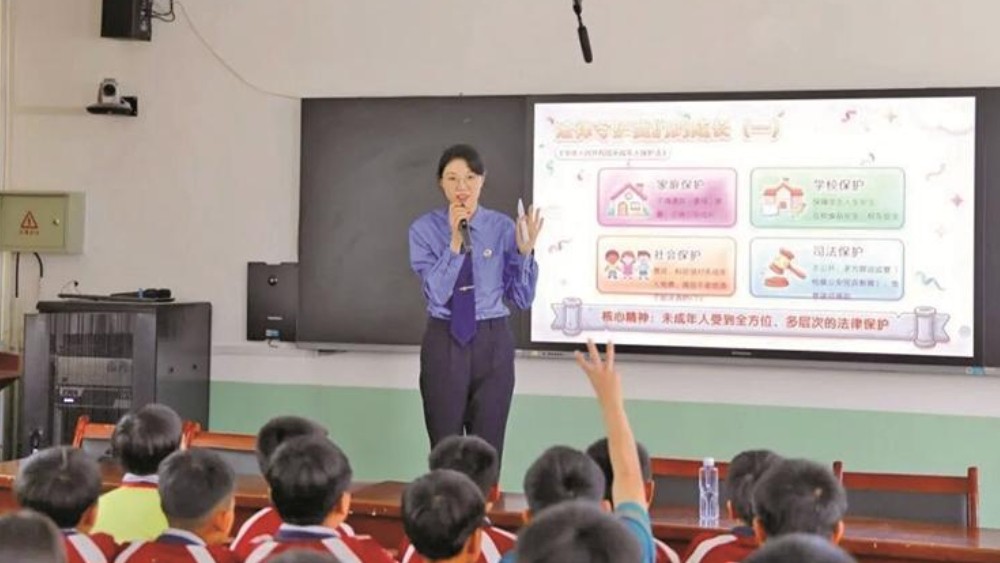 听得懂 学得会 用得上