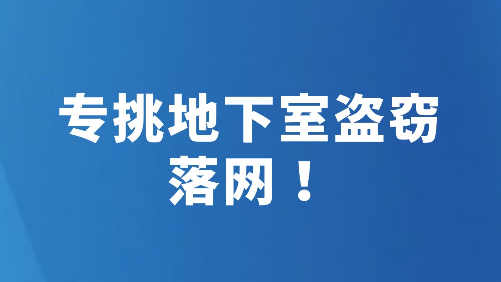 专挑地下室盗窃 落网！