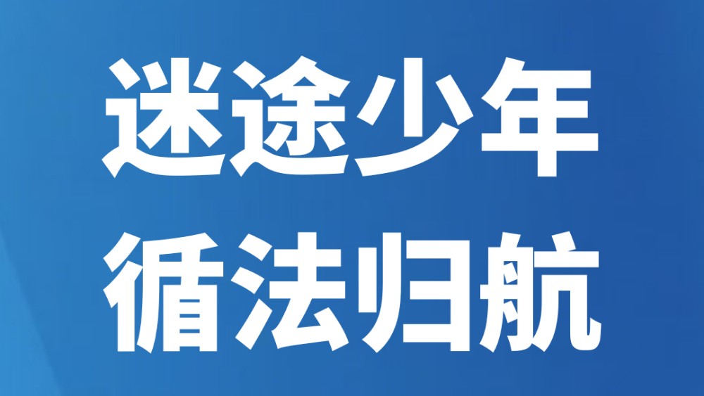 迷途少年，循法归航