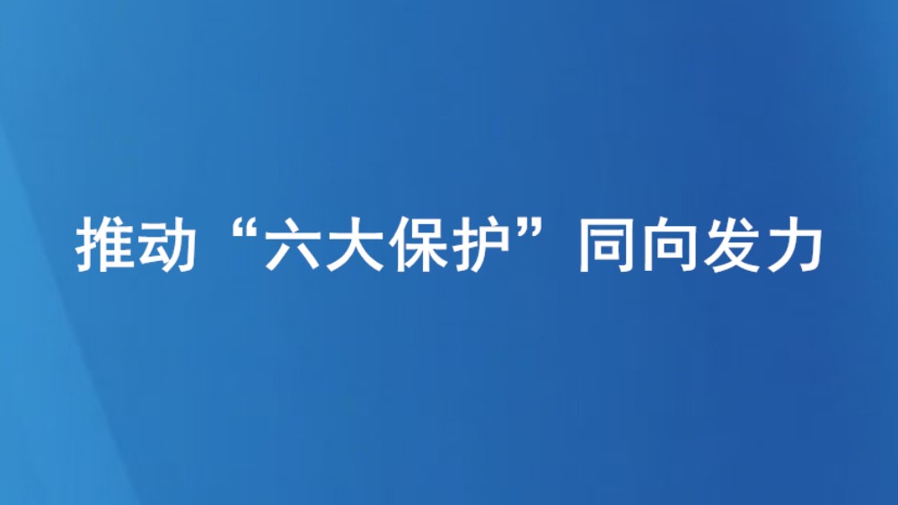 推动“六大保护”同向发力