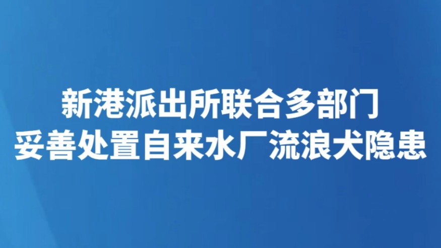 新港派出所联合多部门 妥善处置自来水厂流浪犬隐患