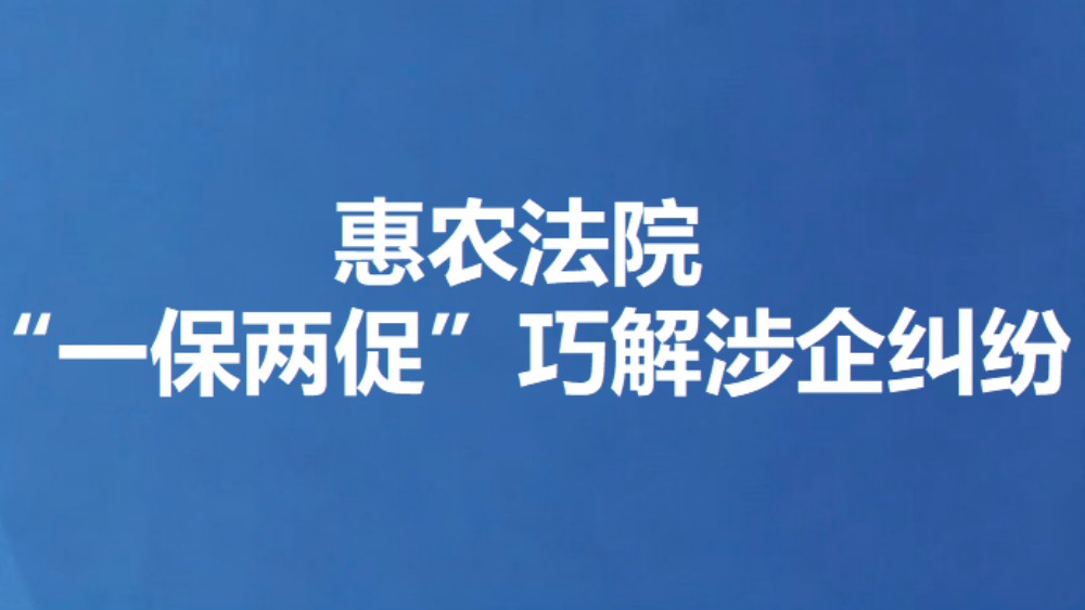 惠农法院“一保两促”巧解涉企纠纷