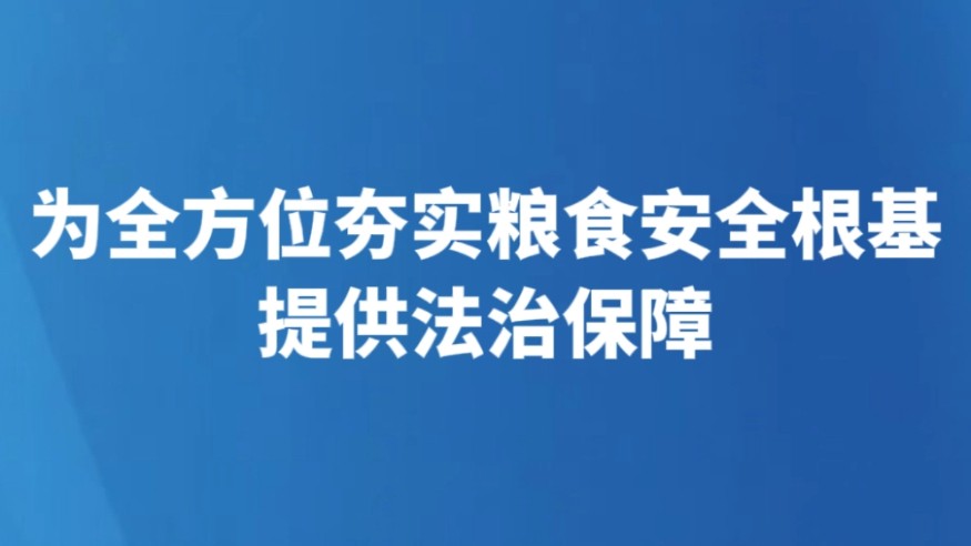 为全方位夯实粮食安全根基提供法治保障