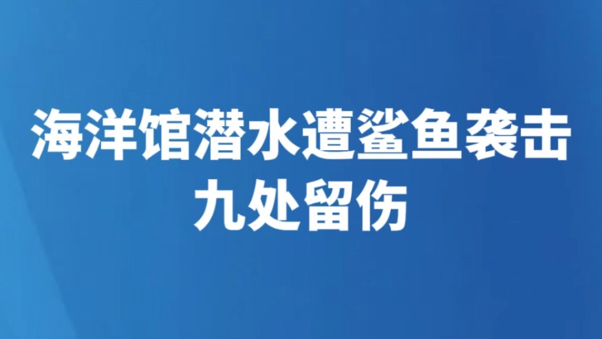 海洋馆潜水遭鲨鱼袭击九处留伤