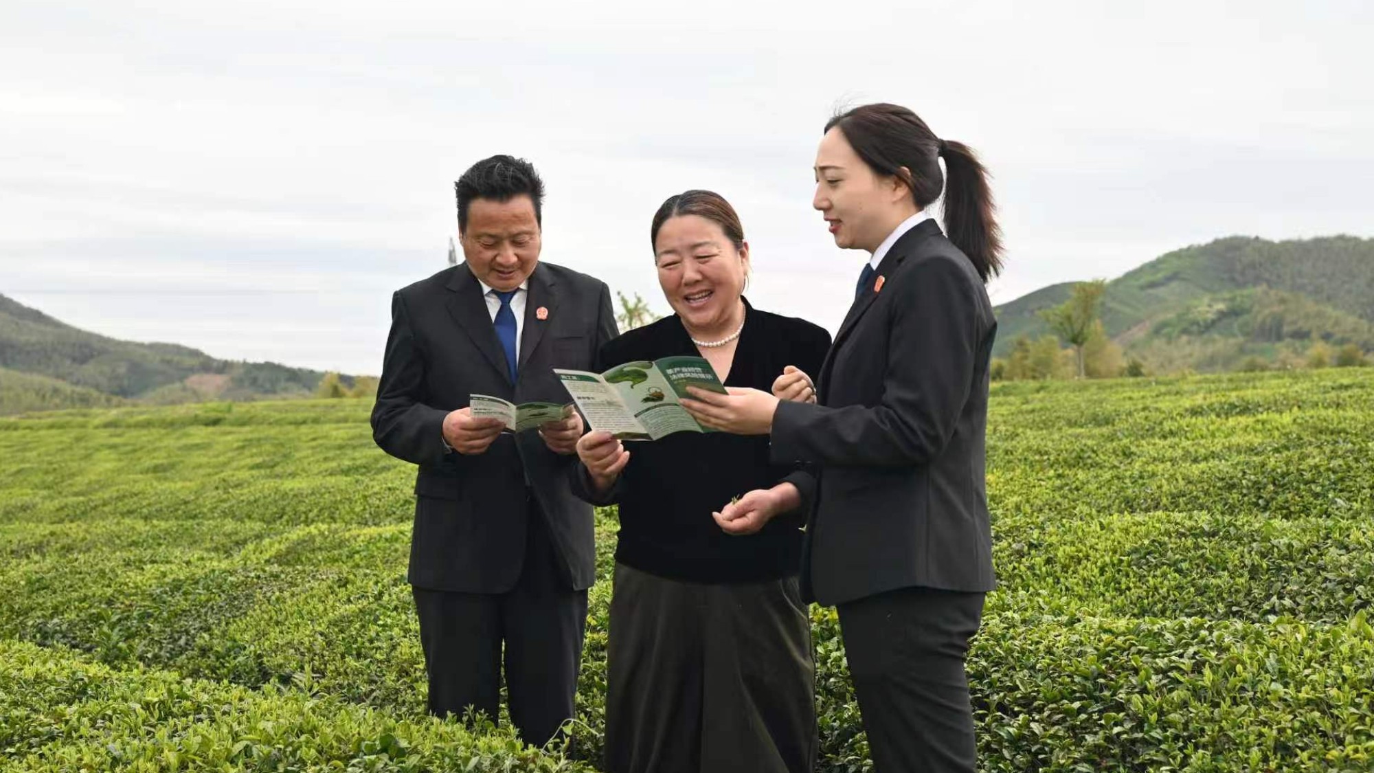 安徽省广德市人民法院开展普法进茶园活动