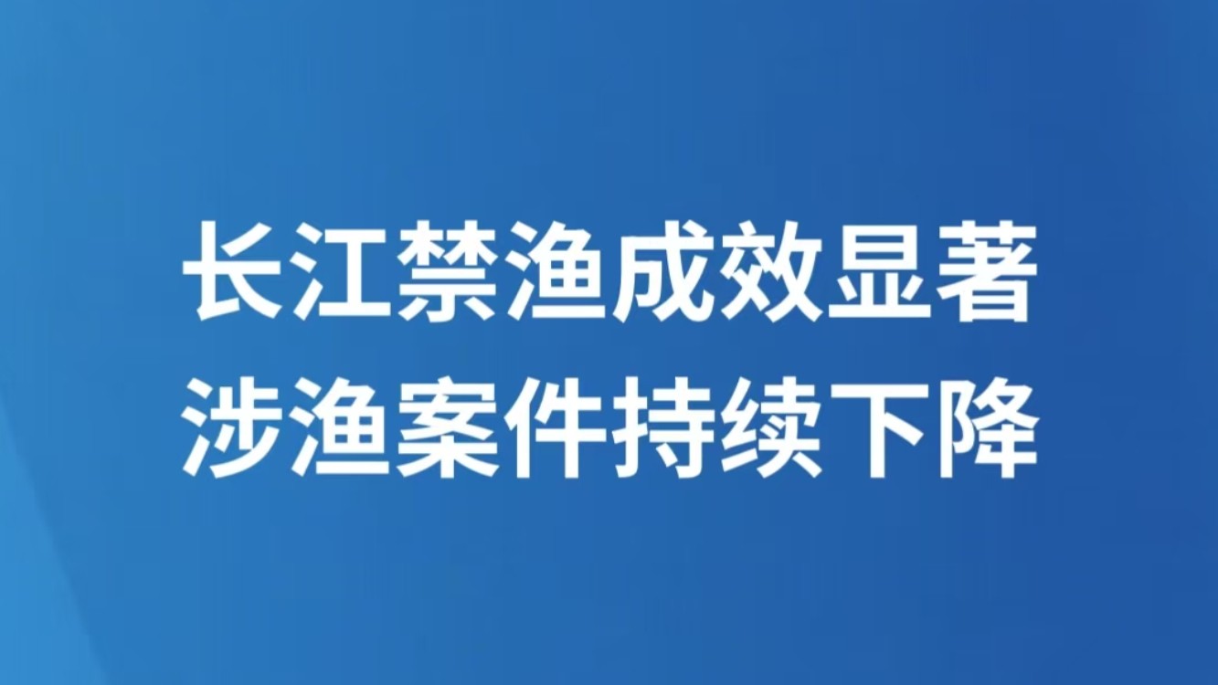 长江禁渔成效显著 涉渔案件持续下降