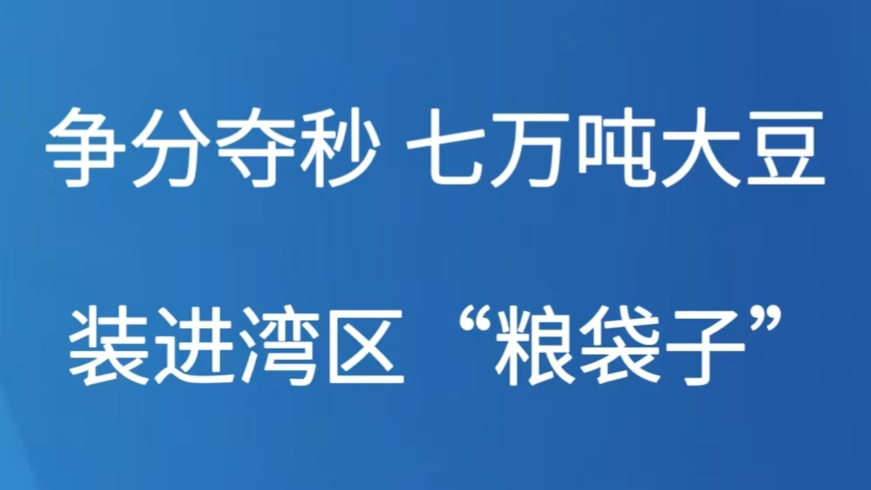 争分夺秒 七万吨大豆装进湾区“粮袋子”