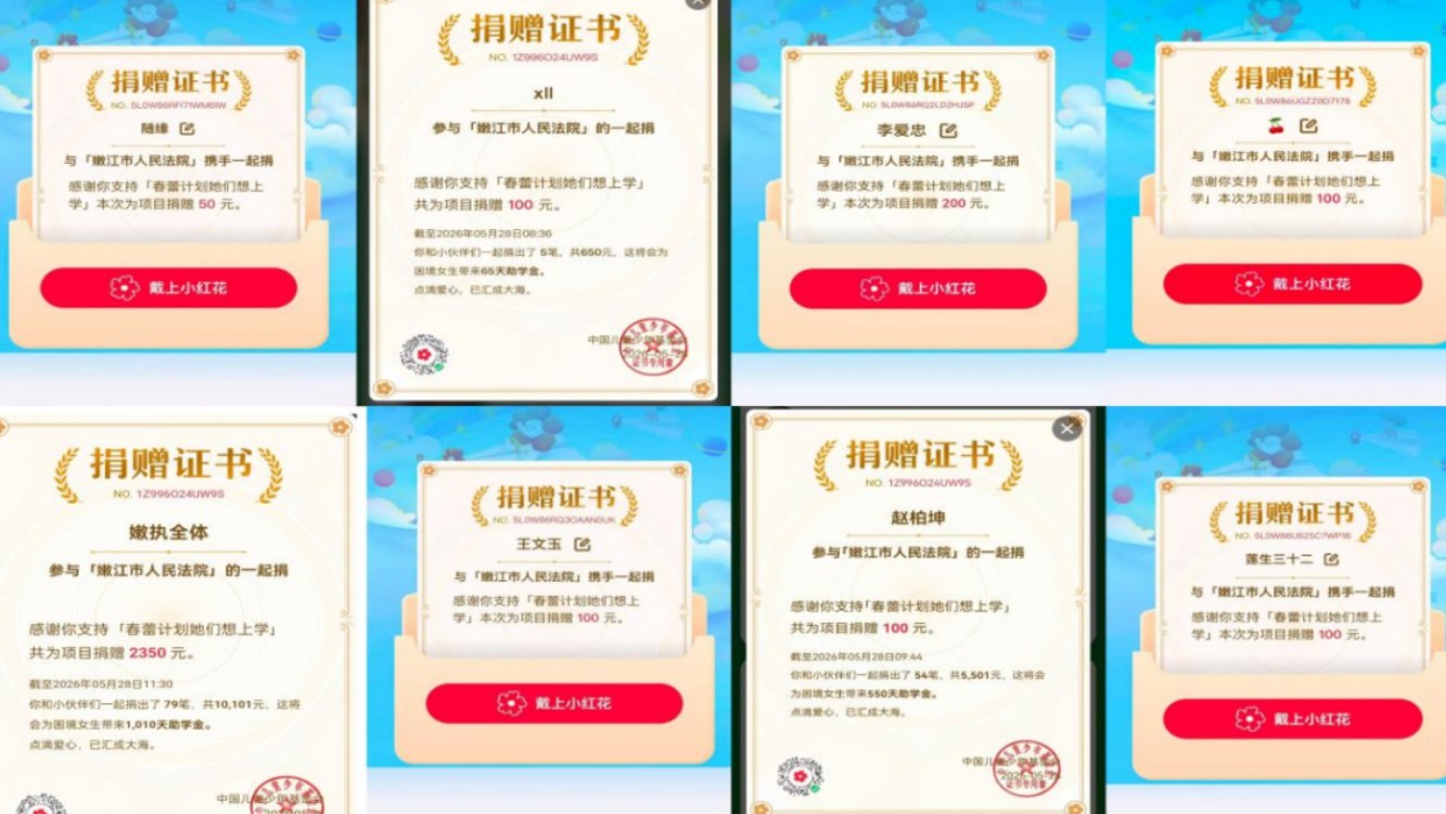 爱心汇聚春蕾 司法护航成长：嫩江法院积极参与“同心筑梦·龙江春蕾”公益募捐活动