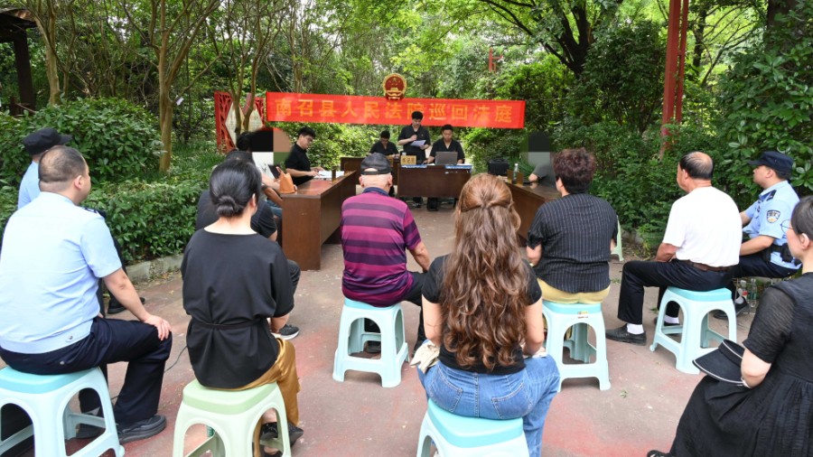 河南省南阳市南召县法院：辛夷树下的巡回审判