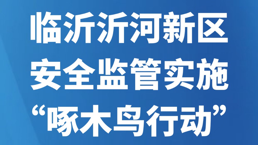 临沂沂河新区安全监管实施“啄木鸟行动”