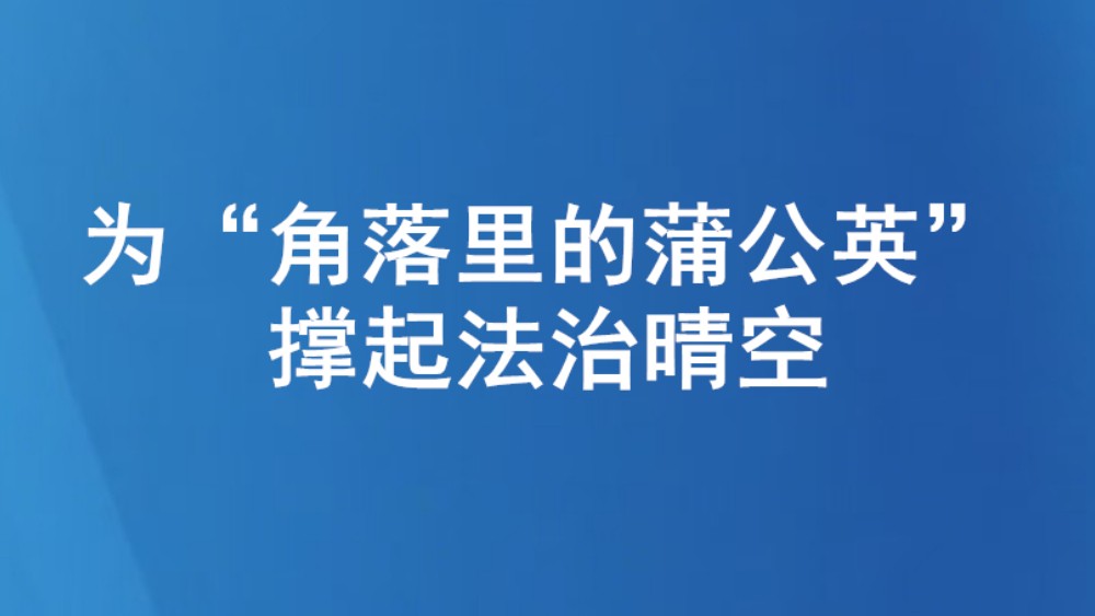 为“角落里的蒲公英”撑起法治晴空