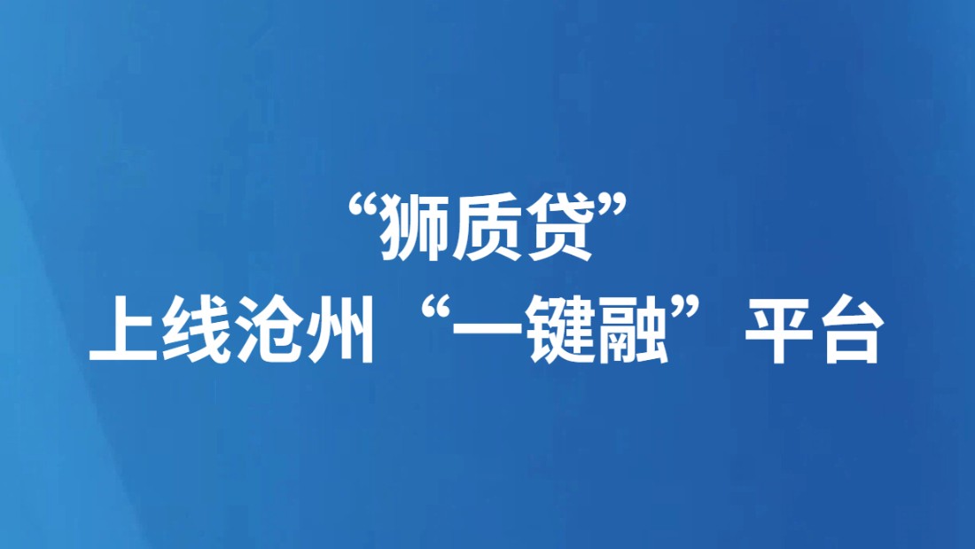 “狮质贷”上线沧州“一键融”平台