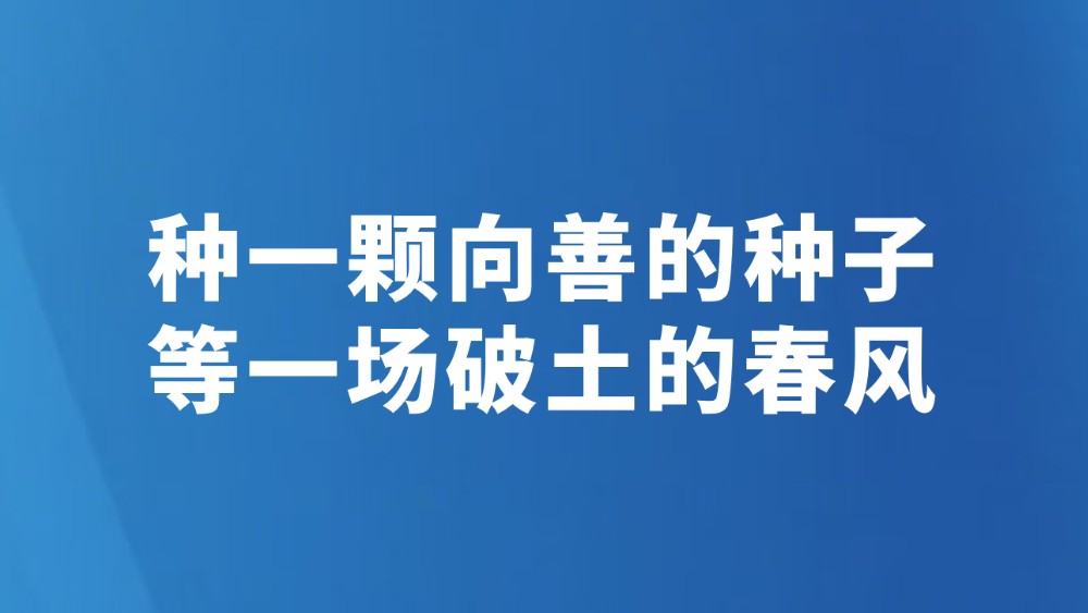 种一颗向善的种子 等一场破土的春风