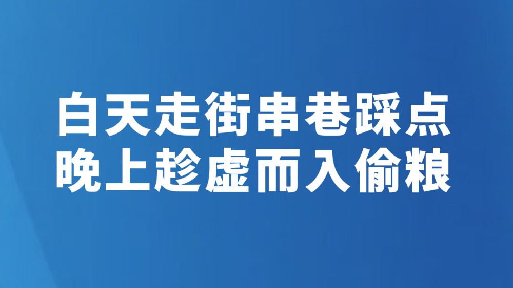 白天走街串巷踩点 晚上趁虚而入偷粮