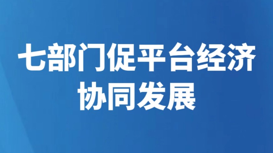 七部门促平台经济协同发展