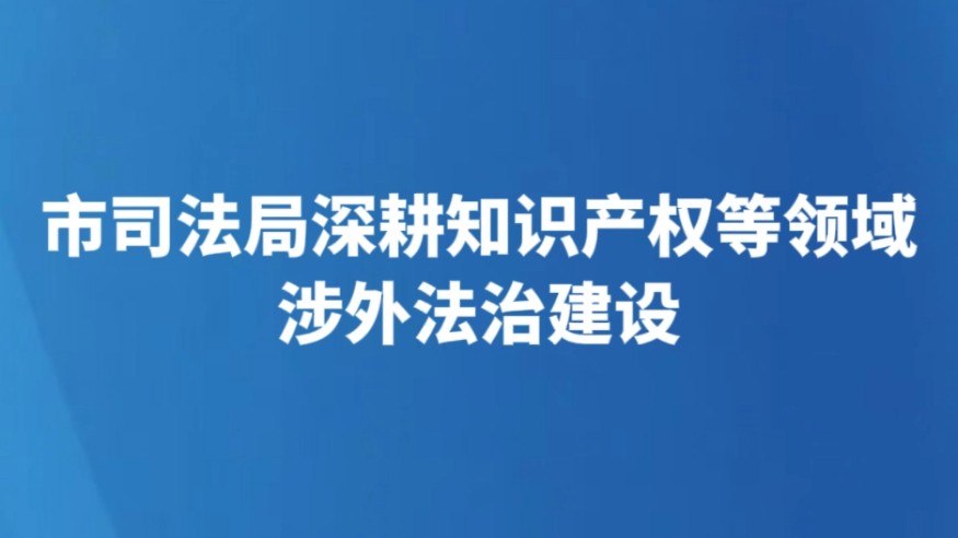 市司法局深耕知识产权等领域涉外法治建设