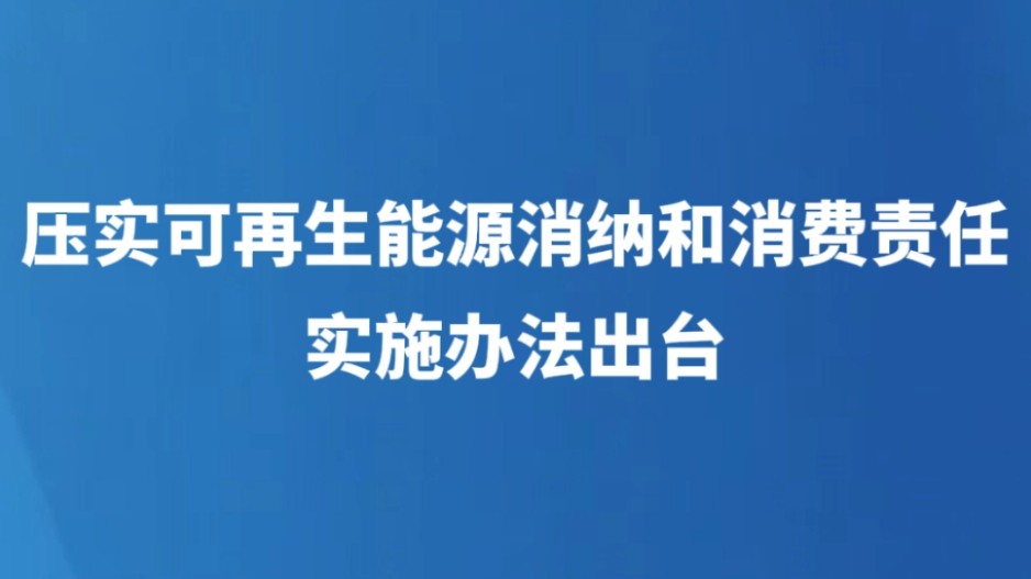 压实可再生能源消纳和消费责任 实施办法出台